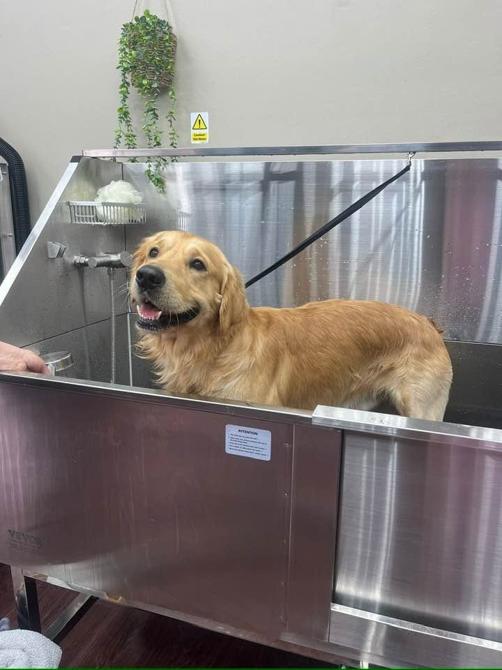 Clean dog wash station in Wallasey